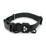 Waterproof - Dog Collar