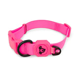 Waterproof - Dog Collar