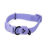 Waterproof - Dog Collar