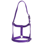 Rancher - Stable Halter - 2 Buckle