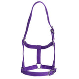 Rancher - Stable Halter - 2 Buckle