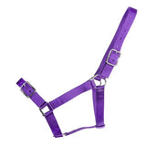 Rancher - Stable Halter - 2 Buckle