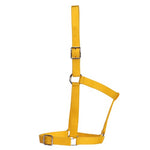 Rancher - Stable Halter - 2 Buckle