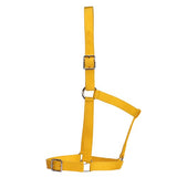 Rancher - Stable Halter - 2 Buckle