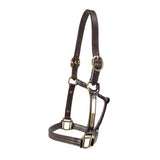 Thoroughbred Nameplate Halter