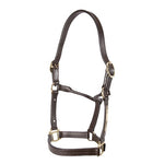 Thoroughbred Nameplate Halter