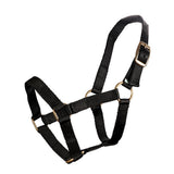 Piccolo Mini Horse PP Halter